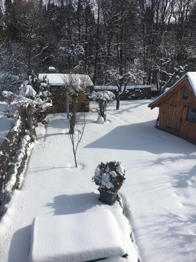 Haus Ilsegarten Ilsenburg Zewnętrze zdjęcie