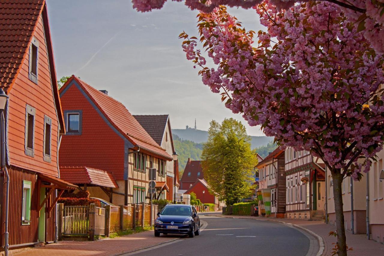 Haus Ilsegarten Ilsenburg Zewnętrze zdjęcie